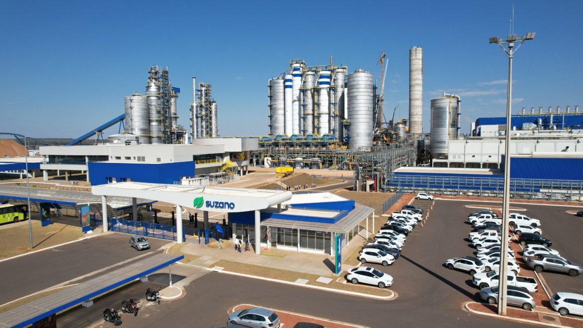 Suzano inicia operação da maior linha de produção de celulose do mundo…