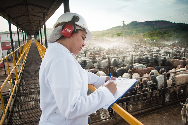 Fribal é finalista do Prêmio “Empresa do Ano – Ciclo 2024” da Associação Comercial do Maranhão…