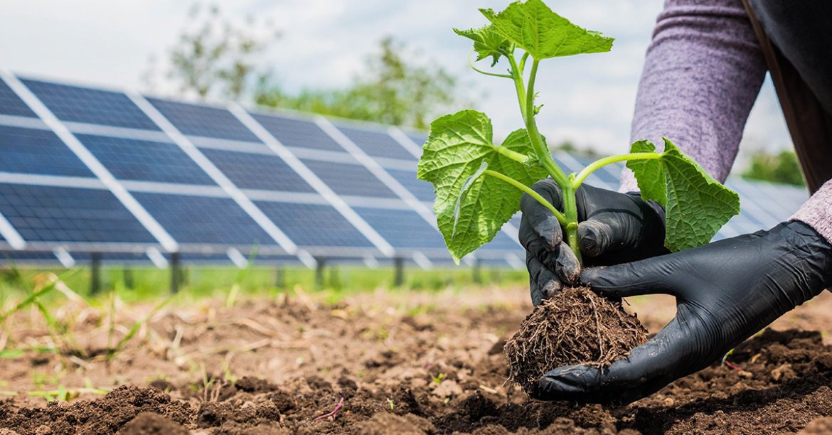 Força propulsora do país, agronegócio pode se beneficiar da energia solar…