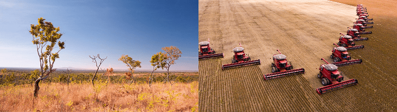‘Cerrados e a travessia da ciência: 50 anos de transformação agrícola e compromisso com o futuro’…