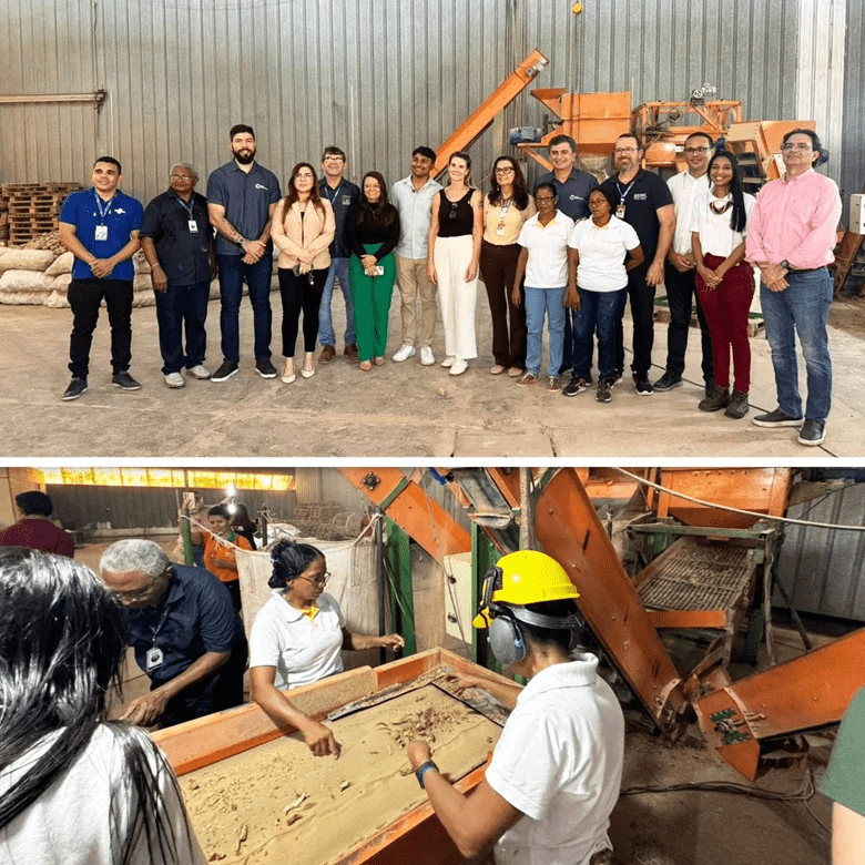 Sebrae-MA participa de visita técnica à Apoena e destaca potencial da bioeconomia do babaçu…
